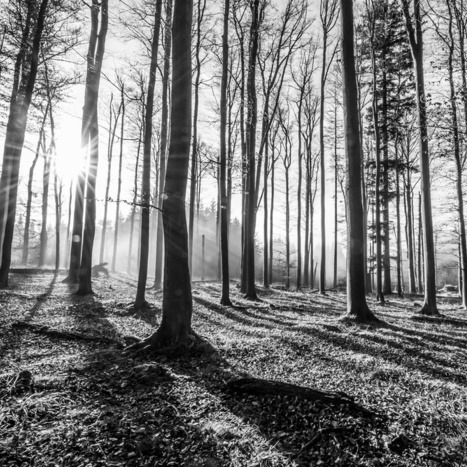 Photo de Jean Francois ZIMMER